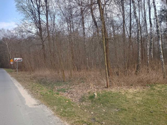 Działka Kończyce-Kolonia. Zdjęcie 1