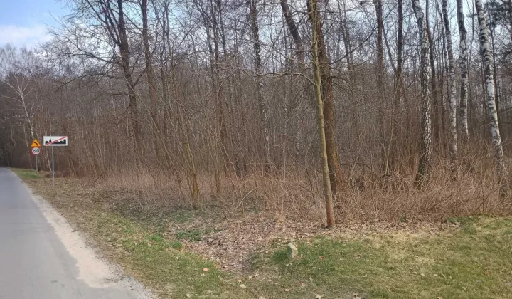 Działka Kończyce-Kolonia