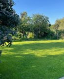 Działka leśna Chorzów. Zdjęcie 2