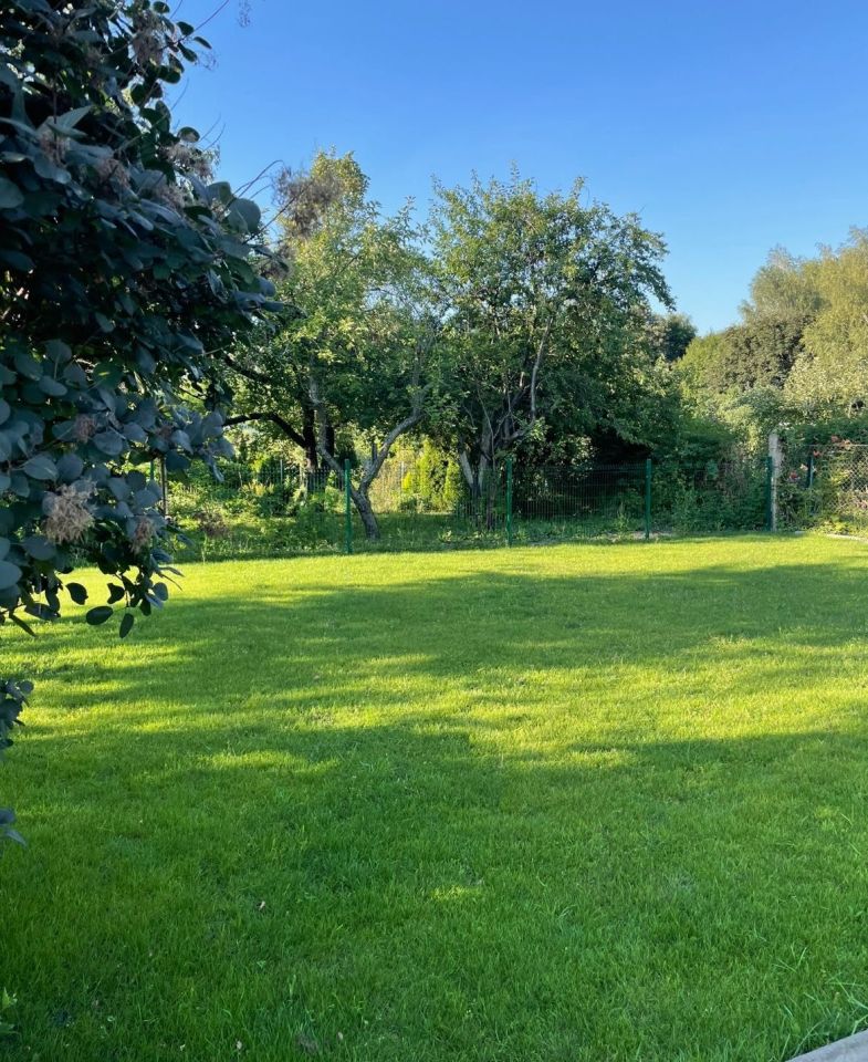 Działka leśna Chorzów. Zdjęcie 3