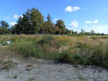 Działka inwestycyjna Paproć. Zdjęcie 3