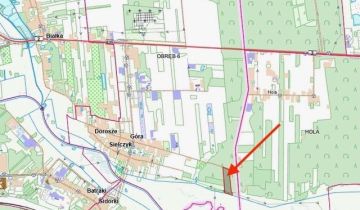 Działka leśna Biała Podlaska Sielczyk