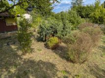 Działka rod Radom Wacyn, ul. Przytycka. Zdjęcie 1