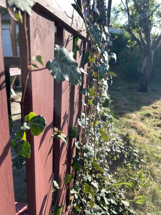 Działka rod Łódź Polesie. Zdjęcie 7