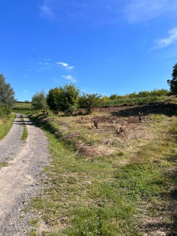 Działka budowlana Trzebnica, ul. Alpejska. Zdjęcie 1