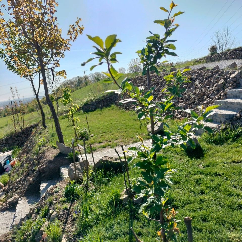 Działka budowlana Świebodzice, ul. Zimny Dwór. Zdjęcie 7