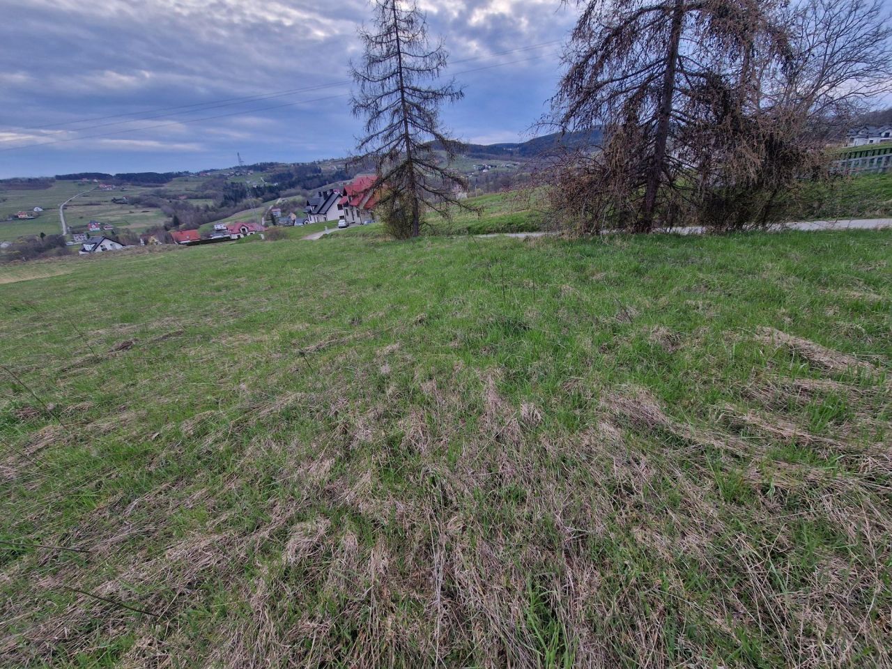 Działka budowlana Trzetrzewina. Zdjęcie 4