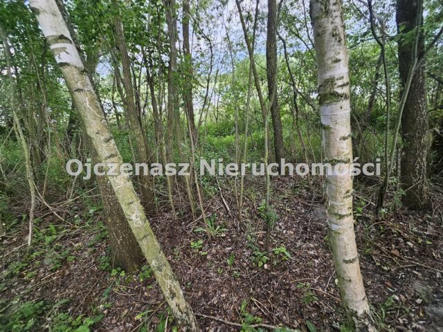 Działka rekreacyjna Dobrcz. Zdjęcie 6
