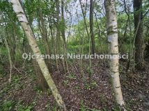 Działka rekreacyjna Dobrcz. Zdjęcie 4