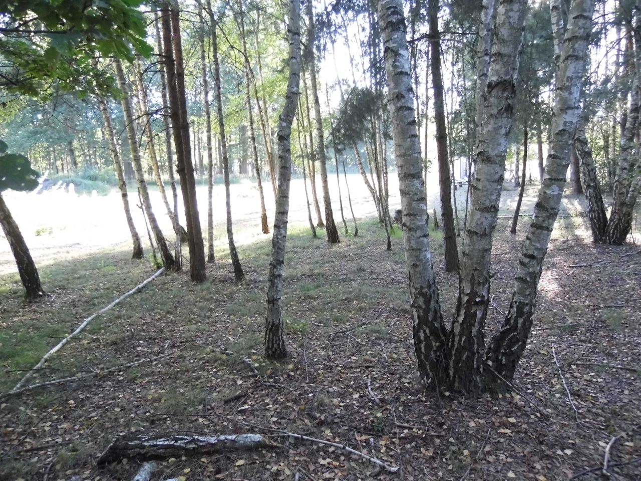 Działka budowlana Rudnik Wielki, ul. Brzozowa. Zdjęcie 4