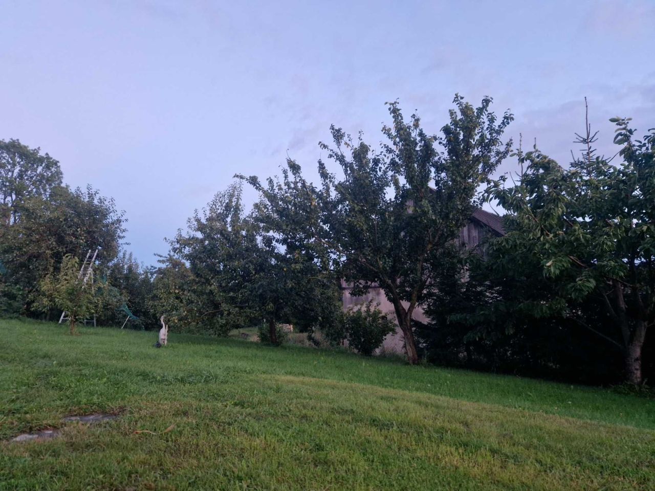 dom wolnostojący, 3 pokoje Worławki. Zdjęcie 6