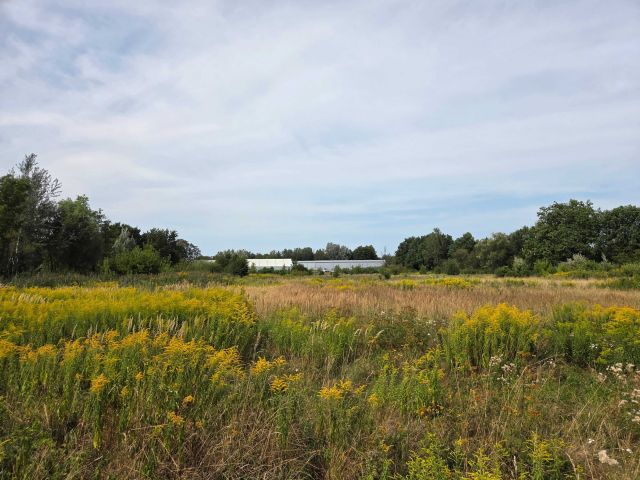 Działka inwestycyjna Grodzisk Mazowiecki, ul. J. Słowackiego. Zdjęcie 1