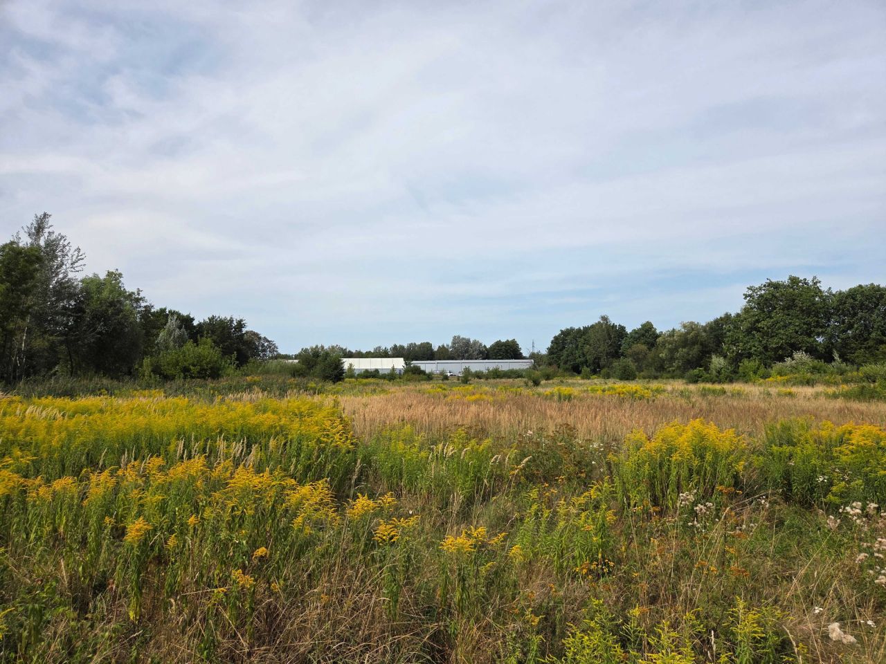 Działka inwestycyjna Grodzisk Mazowiecki, ul. J. Słowackiego