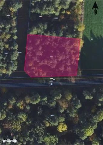 Działka budowlana Kruszyn, ul. Leśna. Zdjęcie 1