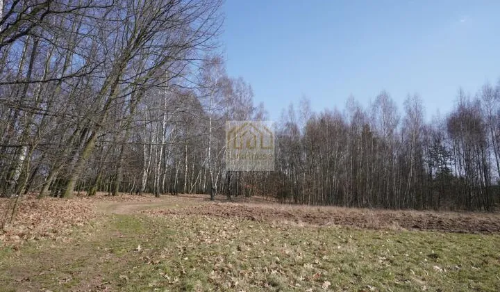 Działka Sączów, ul. Wolności