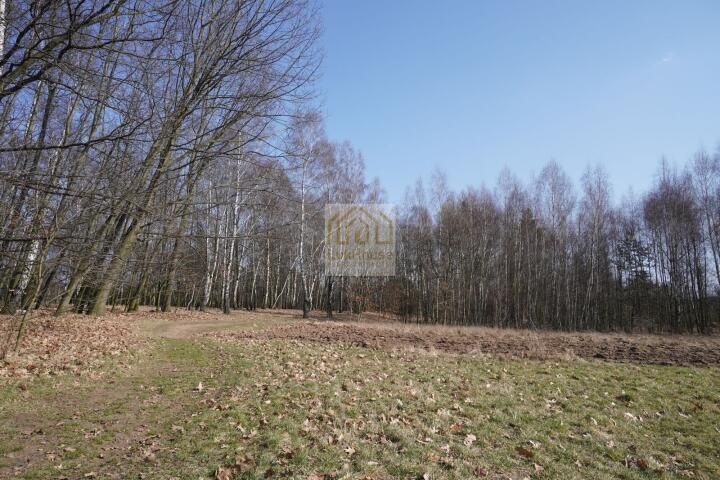 Działka Sączów, ul. Wolności. Zdjęcie 1