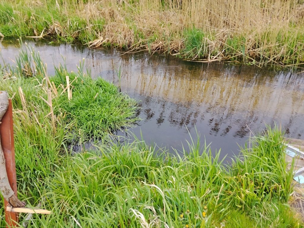 Działka rolno-budowlana Wólka Ratowiecka. Zdjęcie 6