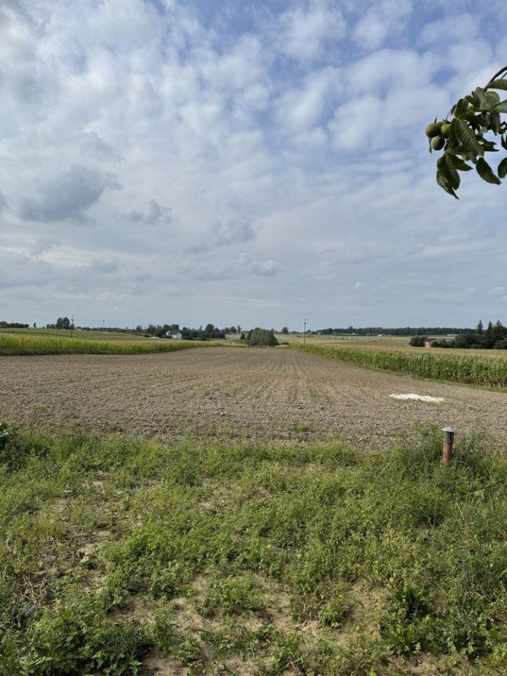 gospodarstwo Radomin. Zdjęcie 5