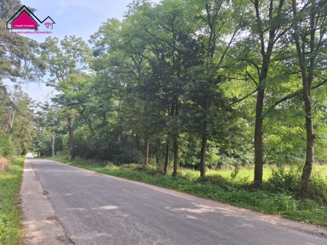 Działka rolna Kępa. Zdjęcie 3