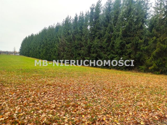 Działka rekreacyjna Skarpa. Zdjęcie 4