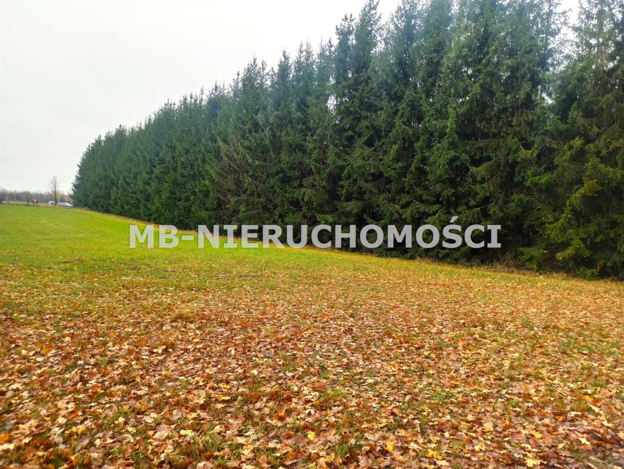 Działka rekreacyjna Skarpa. Zdjęcie 4