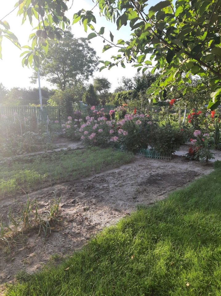 Działka rod Lublin. Zdjęcie 4