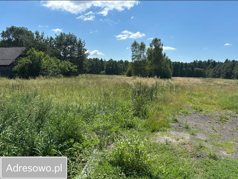 Działka inna Cynków, ul. Leśna. Zdjęcie 3
