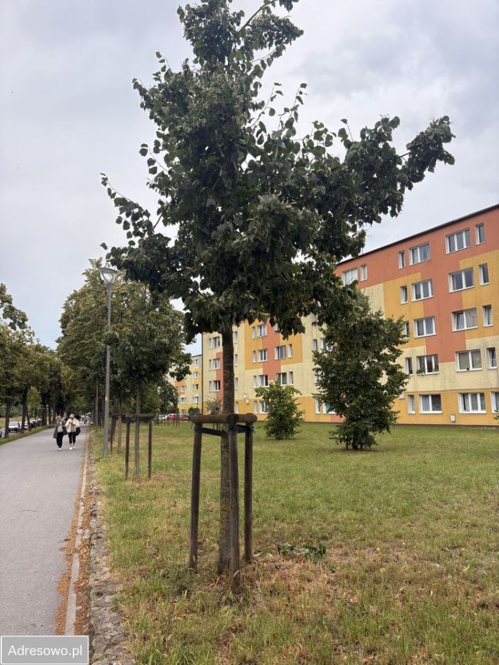 Mieszkanie 1-pokojowe Gdańsk Brzeźno, al. gen. Józefa Hallera. Zdjęcie 9