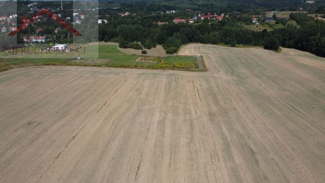 Działka inwestycyjna Olszyna. Zdjęcie 8
