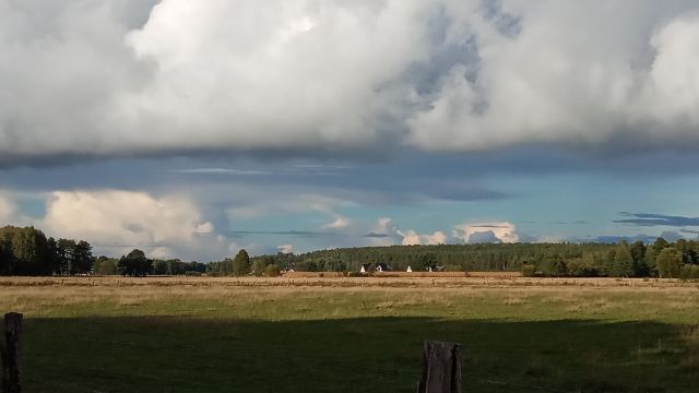 Działka rolno-budowlana Jesionowiec. Zdjęcie 1