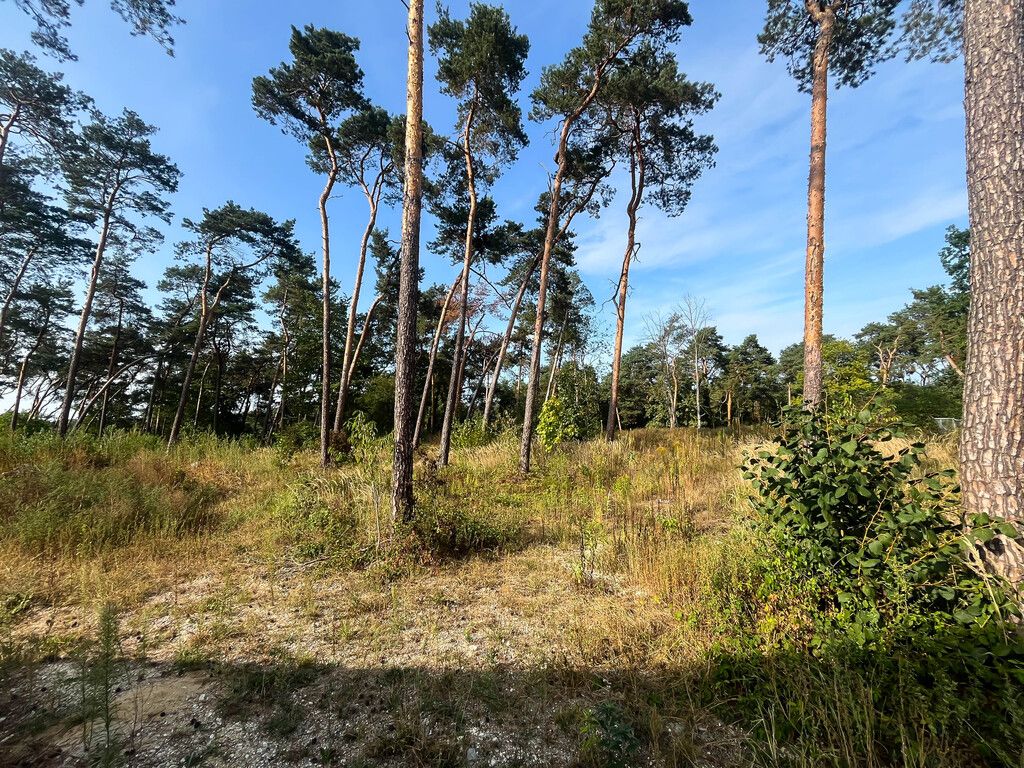 dom wolnostojący, 4 pokoje Ostrowiec Świętokrzyski, ul. Stefana Żeromskiego. Zdjęcie 16