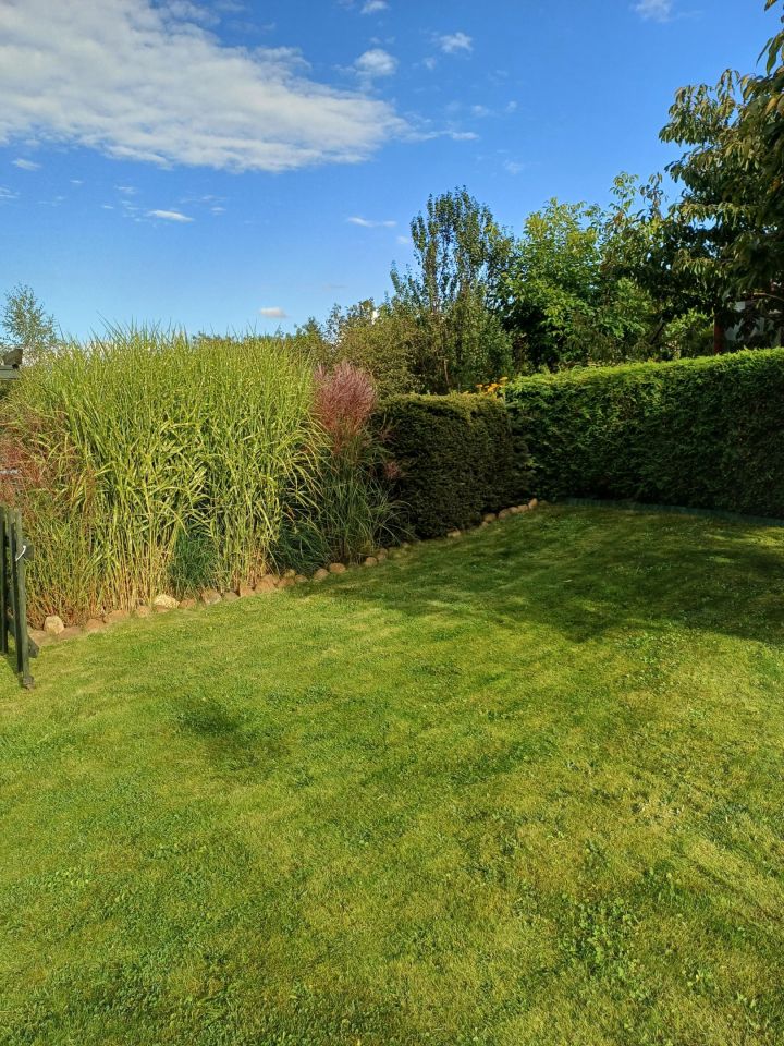 Działka rod Tuchola, ul. Sępoleńska. Zdjęcie 11