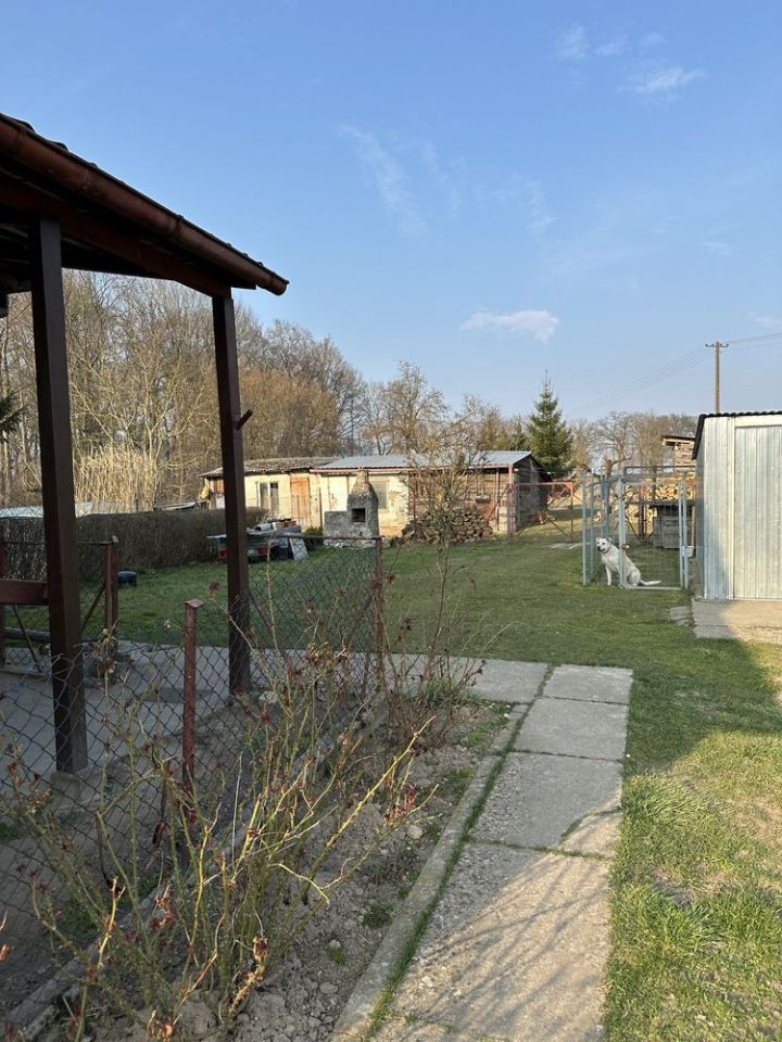 bliźniak Żelmowo. Zdjęcie 8