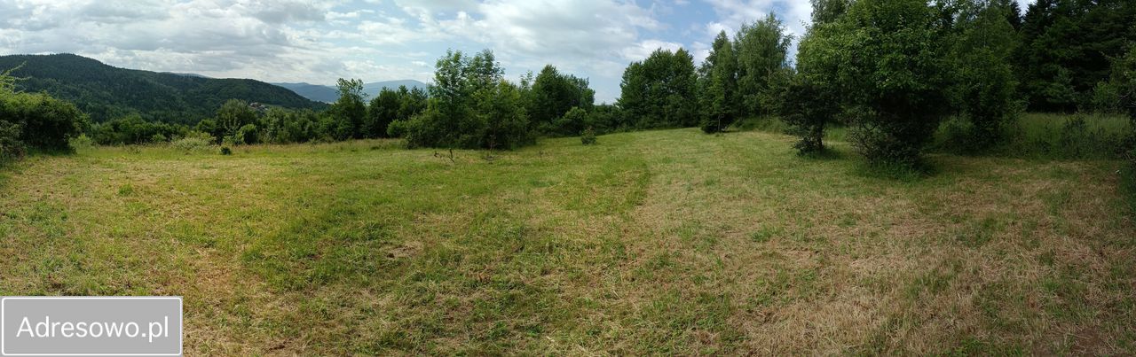 Działka rolna Mutne. Zdjęcie 8