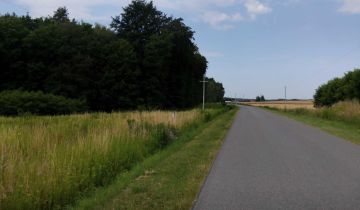 Działka rolno-budowlana Grodzisko Dolne