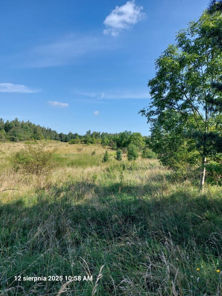 Działka rolna Leleszki. Zdjęcie 2