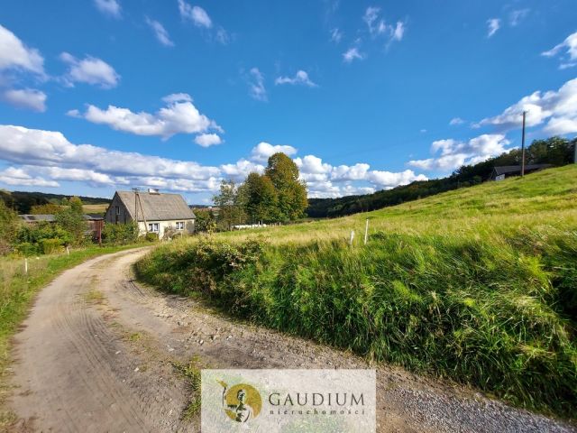 Działka Kobysewo. Zdjęcie 14