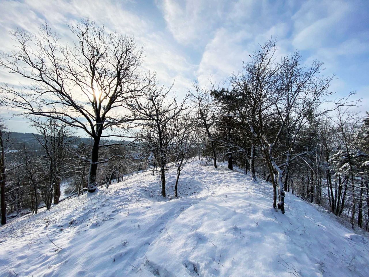 Działka rolno-budowlana Mielnik, ul. Stary Trakt. Zdjęcie 7