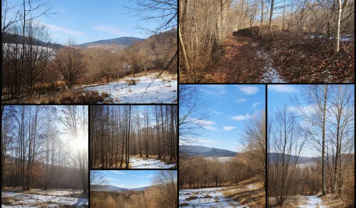 Działka rolno-budowlana Sucha Beskidzka Bańdury