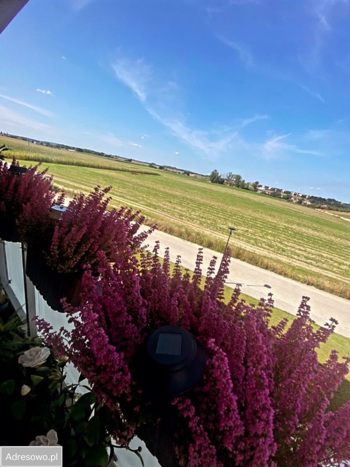 Mieszkanie 3-pokojowe Gostyń, ul. Wichrowa. Zdjęcie 3