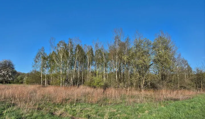 Działka budowlana Ocieka