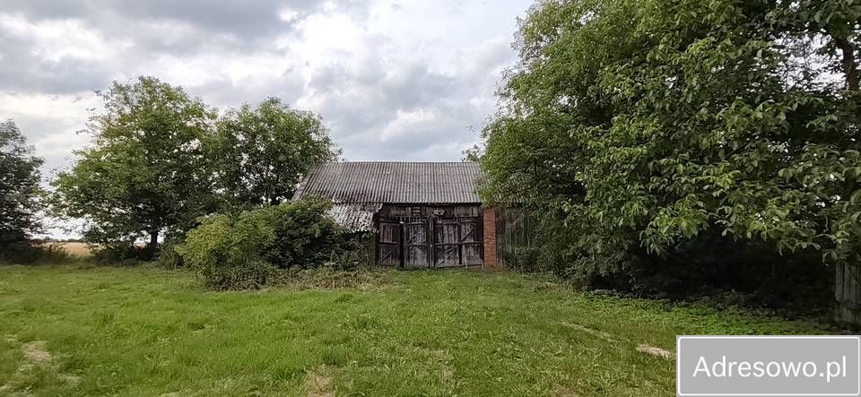 gospodarstwo Sadkowice. Zdjęcie 4