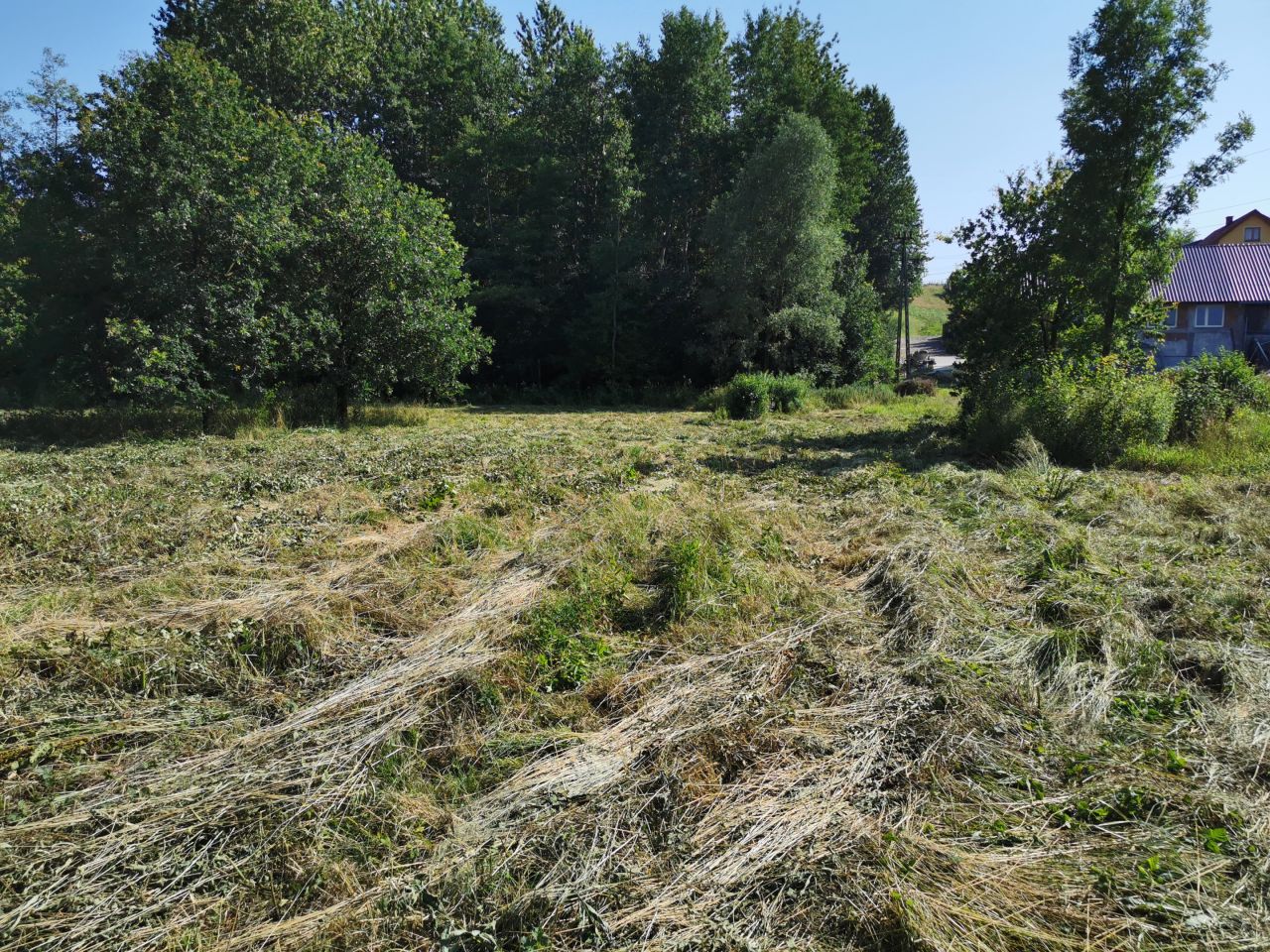 Działka rolno-budowlana Kobyle Kącina. Zdjęcie 8
