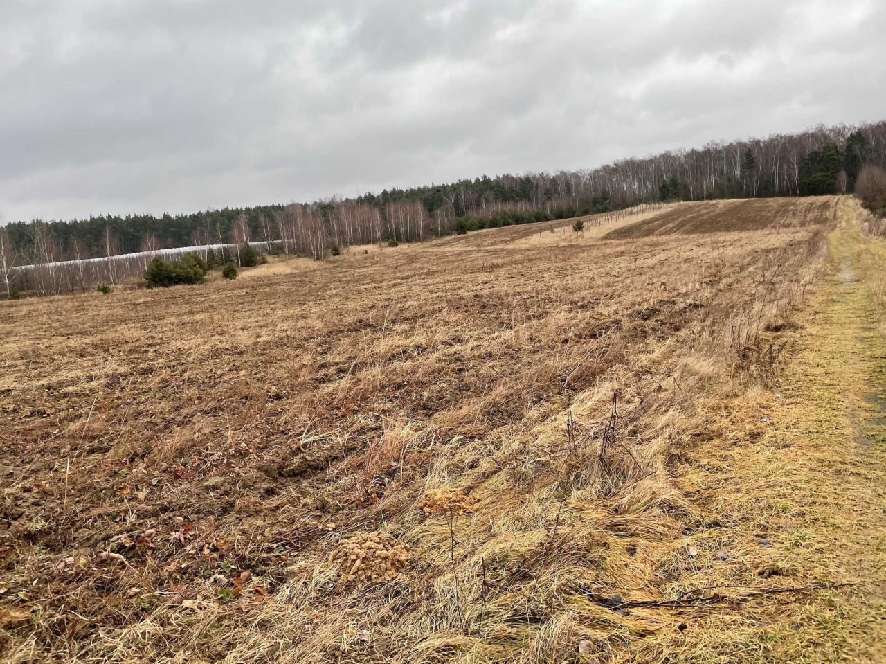 Działka rolno-budowlana Promna-Kolonia