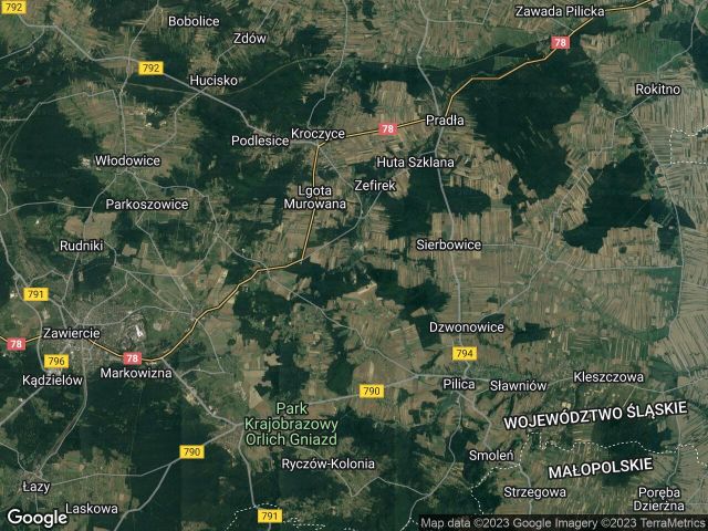 Działka leśna Siamoszyce. Zdjęcie 1