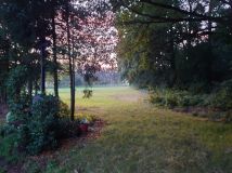 Działka budowlana Piasek. Zdjęcie 1