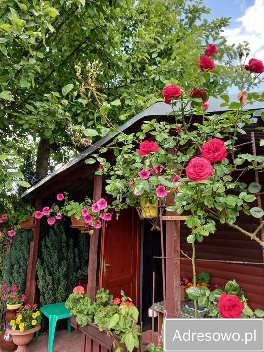 Działka rod Ostrowiec Świętokrzyski, ul. Niska. Zdjęcie 4