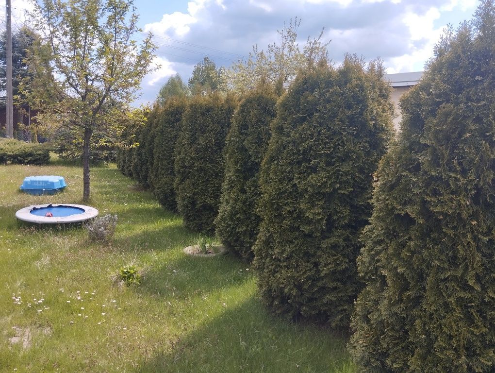 Działka rod Gródek. Zdjęcie 8