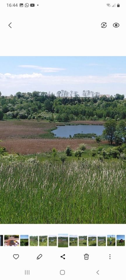 Działka rolna Promno