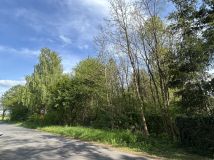 Działka budowlana Kolonia Ldzań. Zdjęcie 1